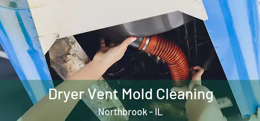 Dryer Vent Mold Cleaning Northbrook - IL
