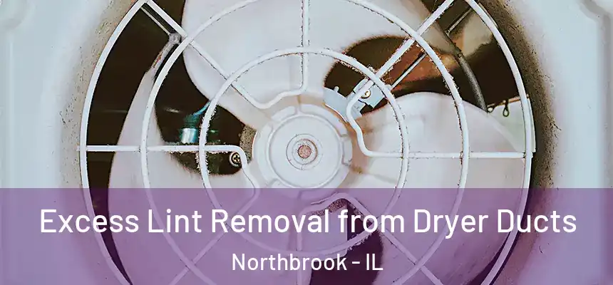  Excess Lint Removal from Dryer Ducts Northbrook - IL
