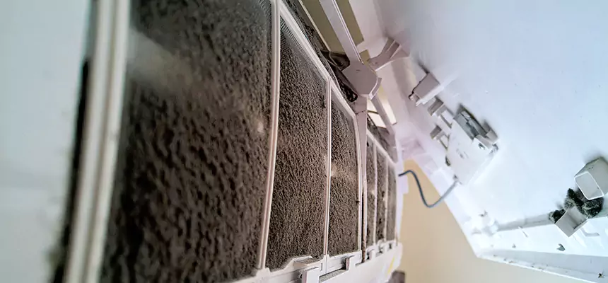 Preventive Air Duct Bacteria Removal in Northbrook