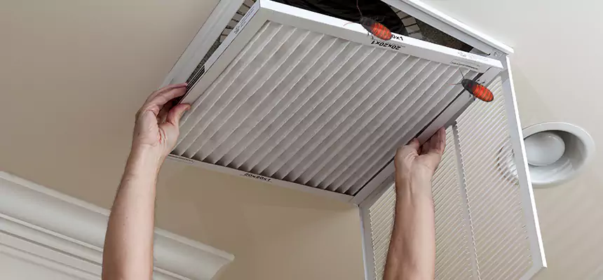 Preventive Cockroach-Proofing for Ducts in Northbrook