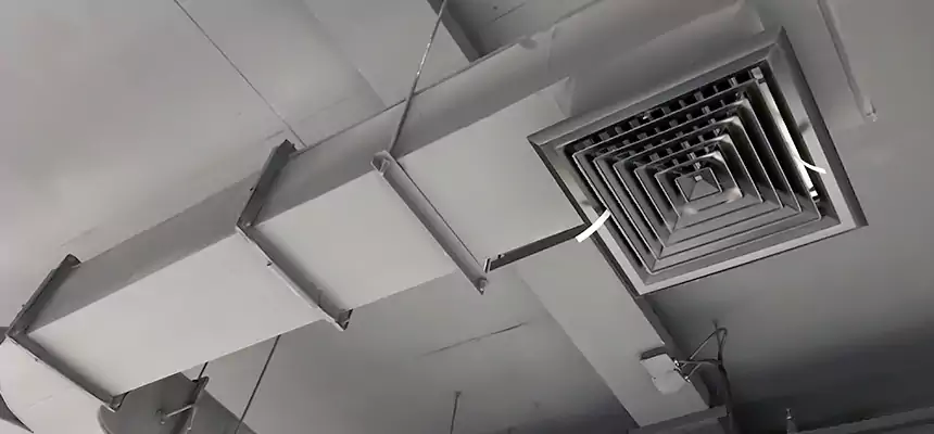 Restorative Allergy Relief Vent Cleaning – Coil, Blower & Housing Detail in Northbrook