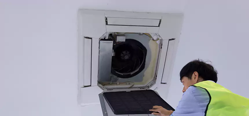Our Dryer Vent Sanitization Service Services in Northbrook, IL