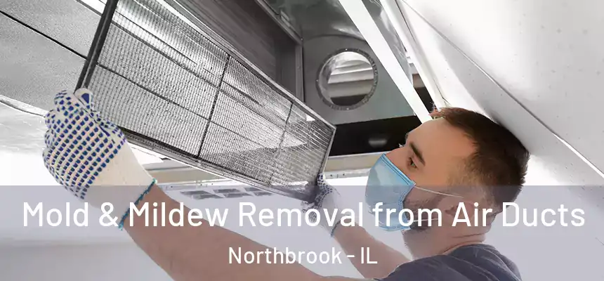  Mold & Mildew Removal from Air Ducts Northbrook - IL