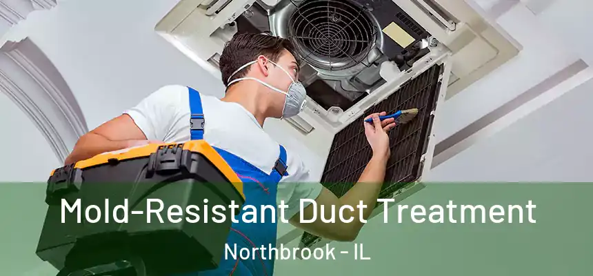 Mold-Resistant Duct Treatment Northbrook - IL