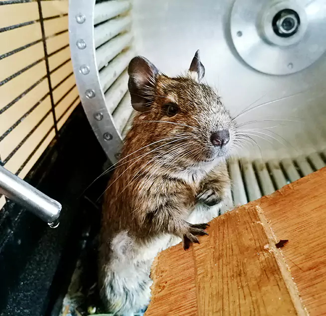 Why Homeowners & Businesses Trust Us Northbrook, IL