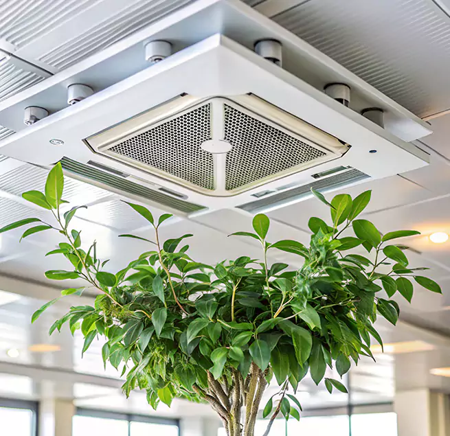 Why Homeowners & Businesses Trust Us in Northbrook, IL